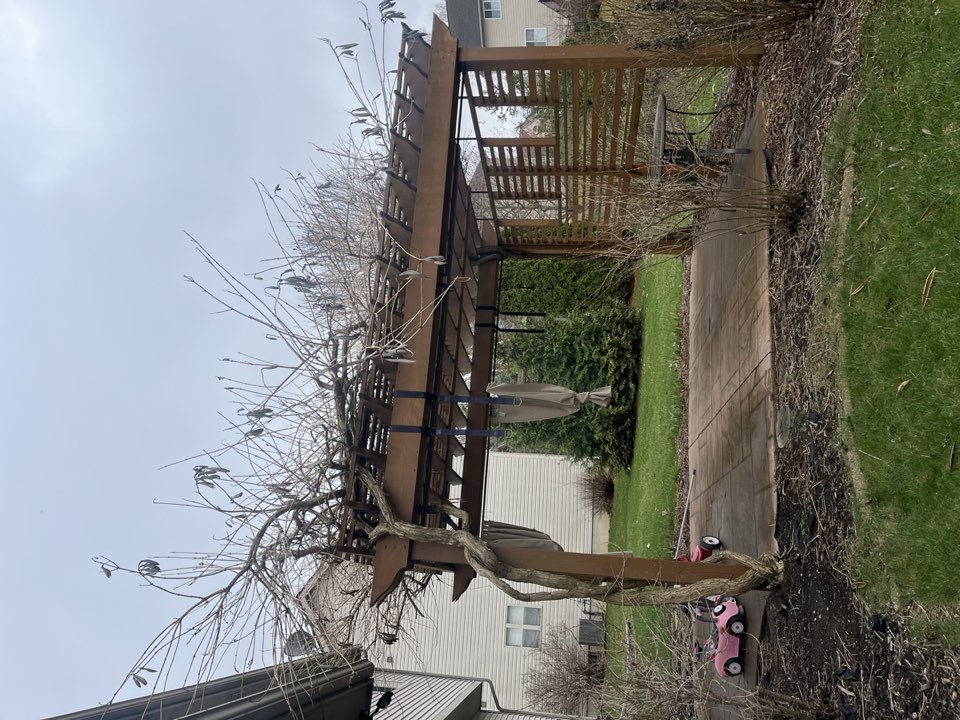 Spring and fall yard cleanup service in Saline Michigan