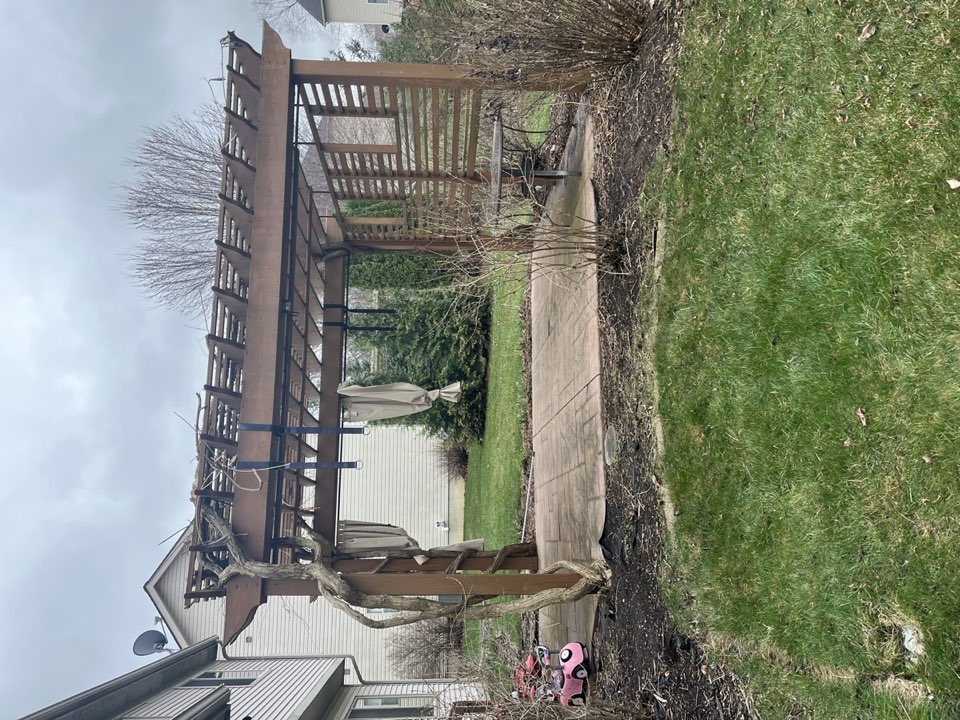 Seasonal yard cleanup and leaf removal in Saline MI