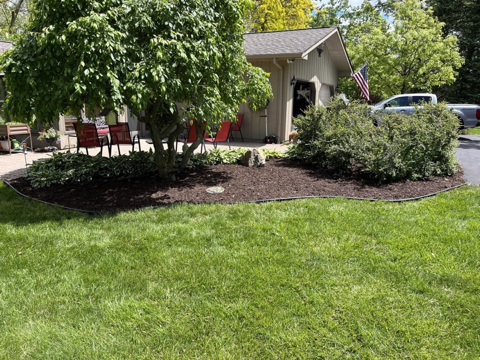 Professional landscaping with mulch beds and shrubs in Saline MI