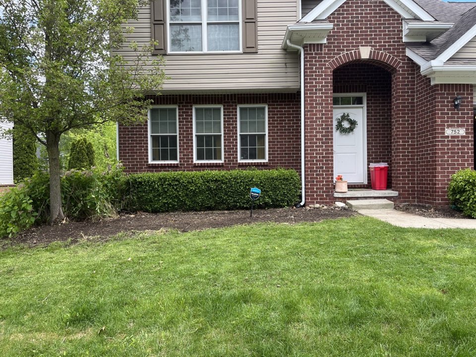 Tree and hedge trimming service in Ypsilanti and Saline MI