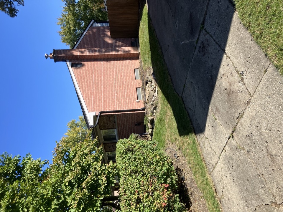 Tree removal after photo showing clean yard in Southeast Michigan